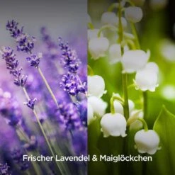 Airwick Raumduft Duftspray, 237 Ml, Geruchsneutralisierend, Lavendel & Maiglöckchen -Böttcher Ag 0bcfc7788d6365d46cb9ed0ed7beddc3442c879e raumduft airwick duftspray 237 ml