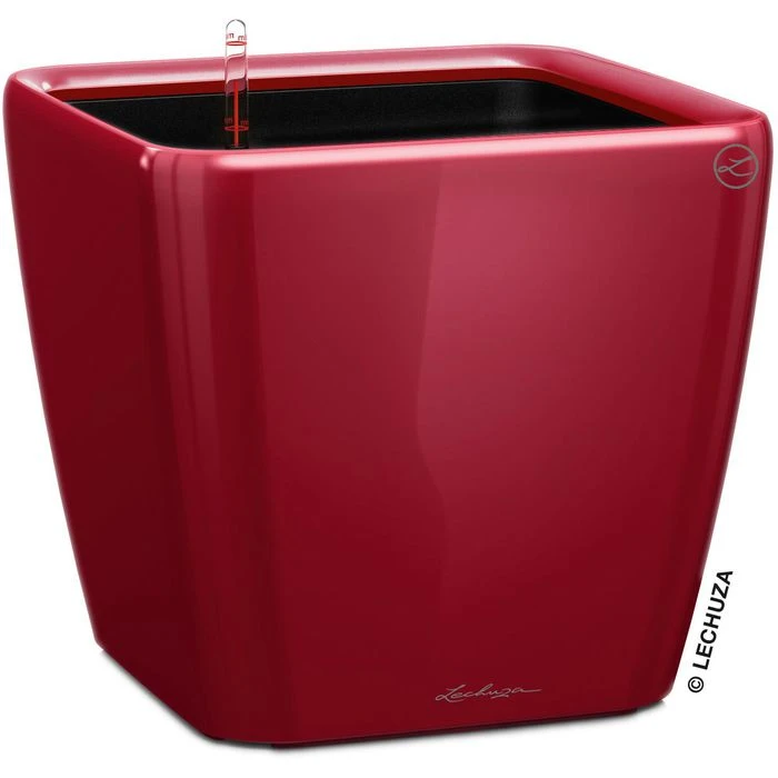 Lechuza Übertopf QUADRO LS 43 Rot Hochglanz, 43 X 43 X 39 Cm, Quadratisch, Kunststoff 1 Lechuza Übertopf QUADRO LS 43 Rot Hochglanz, 43 X 43 X 39 Cm, Quadratisch, Kunststoff