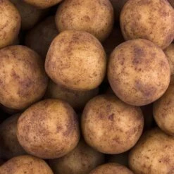 Zentis Marzipan Marzipan-Kartoffeln, In Einer Wiederverschließbaren Dose, 500g 7 Zentis Marzipan Marzipan-Kartoffeln, In Einer Wiederverschließbaren Dose, 500g -Böttcher Ag 8c18d4473ba786bda440db10326a68acf68d5fd7 marzipan zentis marzipan kartoffeln