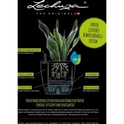 Lechuza Übertopf QUADRO LS 43 Rot Hochglanz, 43 X 43 X 39 Cm, Quadratisch, Kunststoff 8 Lechuza Übertopf QUADRO LS 43 Rot Hochglanz, 43 X 43 X 39 Cm, Quadratisch, Kunststoff -Böttcher Ag b90d0ca01b8edd50697eeb86d2e5869dbc56910d uebertopf lechuza quadro ls 43 rot hochglanz