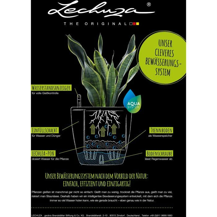 Lechuza Übertopf QUADRO LS 43 Rot Hochglanz, 43 X 43 X 39 Cm, Quadratisch, Kunststoff 4 Lechuza Übertopf QUADRO LS 43 Rot Hochglanz, 43 X 43 X 39 Cm, Quadratisch, Kunststoff – Bild 4