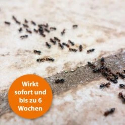 ARDAP Insektenspray Ungezieferspray, Wirkt Gegen Ungeziefer- & Insektenbefall, 750ml -Böttcher Ag bbc5cd691992922f98235f2f3c8012f0320a35f2 insektenspray ardap ungezieferspray